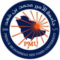جامعة الأمير محمد بن فهد